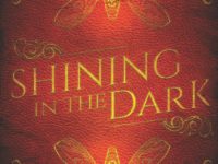 Shining in the dark