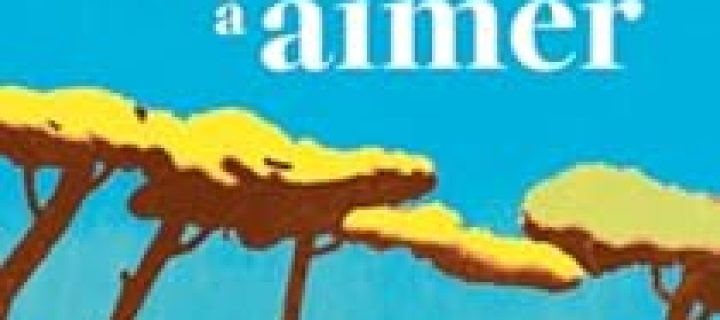 Ce qu&rsquo;il nous reste à aimer / Camille Dupuis
