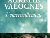 L&rsquo;émerveillement / Aurélie Valognes