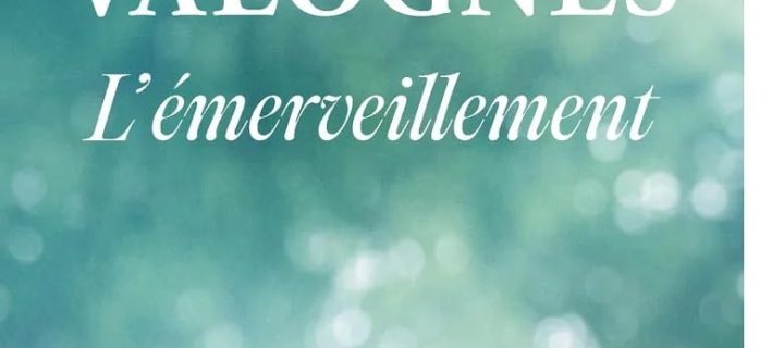 L&rsquo;émerveillement / Aurélie Valognes