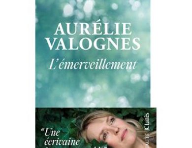L&rsquo;émerveillement / Aurélie Valognes